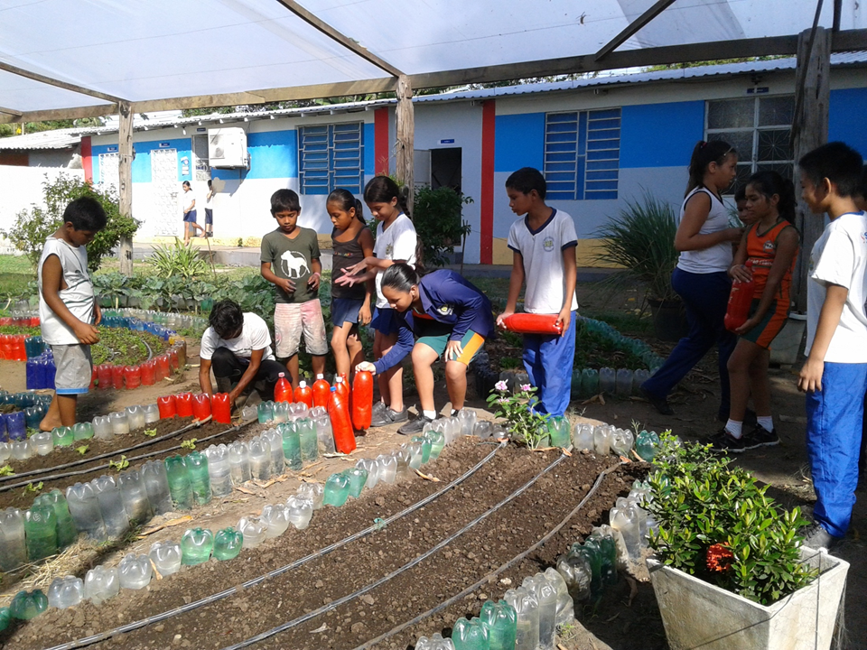 horta6