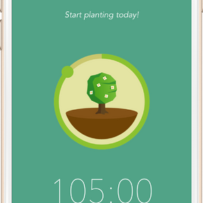 Ansiedade? Plante árvores!