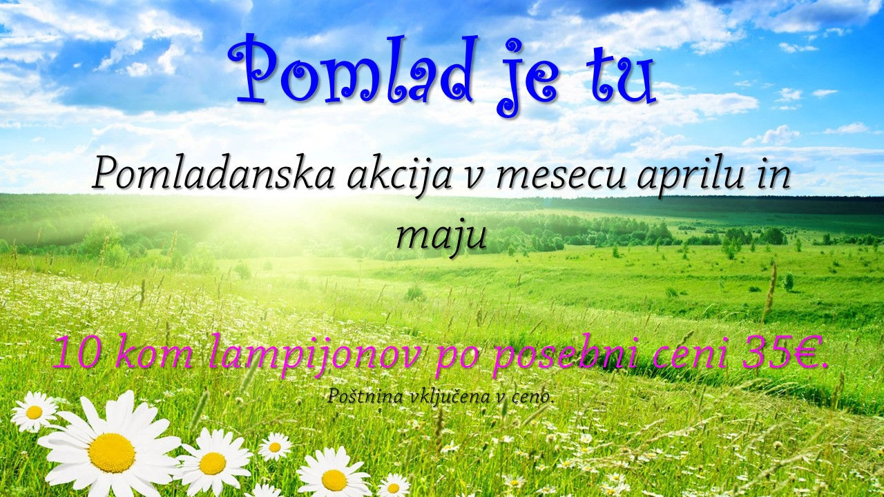 Pomladni paket