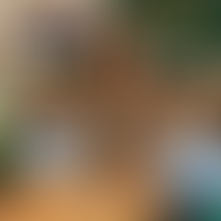 Özel Gereksinimli Bireylerin Eğitiminde Farklılaştırılmış Öğretim