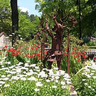 toledo botanical gardens.JPG