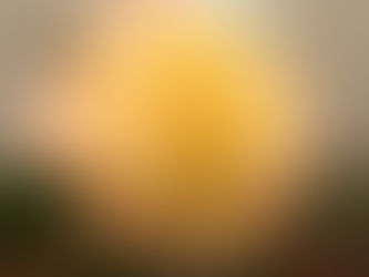 She’s beginning to bloom…