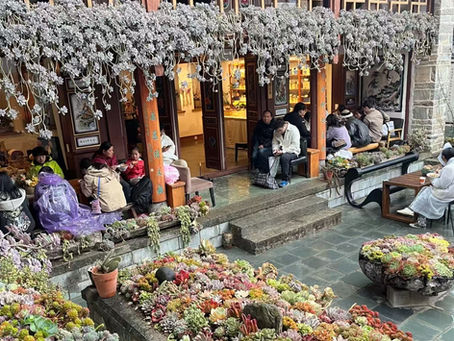 Discover the Hidden Gem of Dali: The Enchanting Jizhao Nunnery