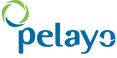 Pelayo