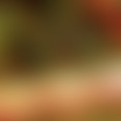 Atividades de aventura na Serra Gaúcha - Bungee Jump