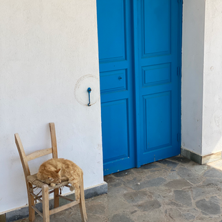 Cyprus cat outside white and blue greek church