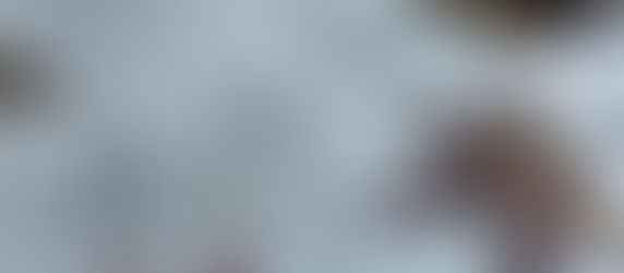 Empreintes pailletées