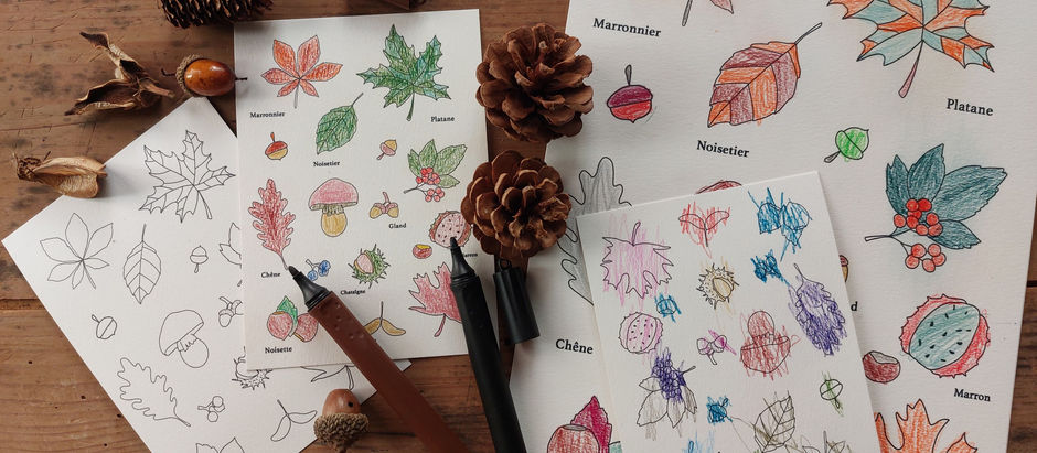 Coloriage d'automne!