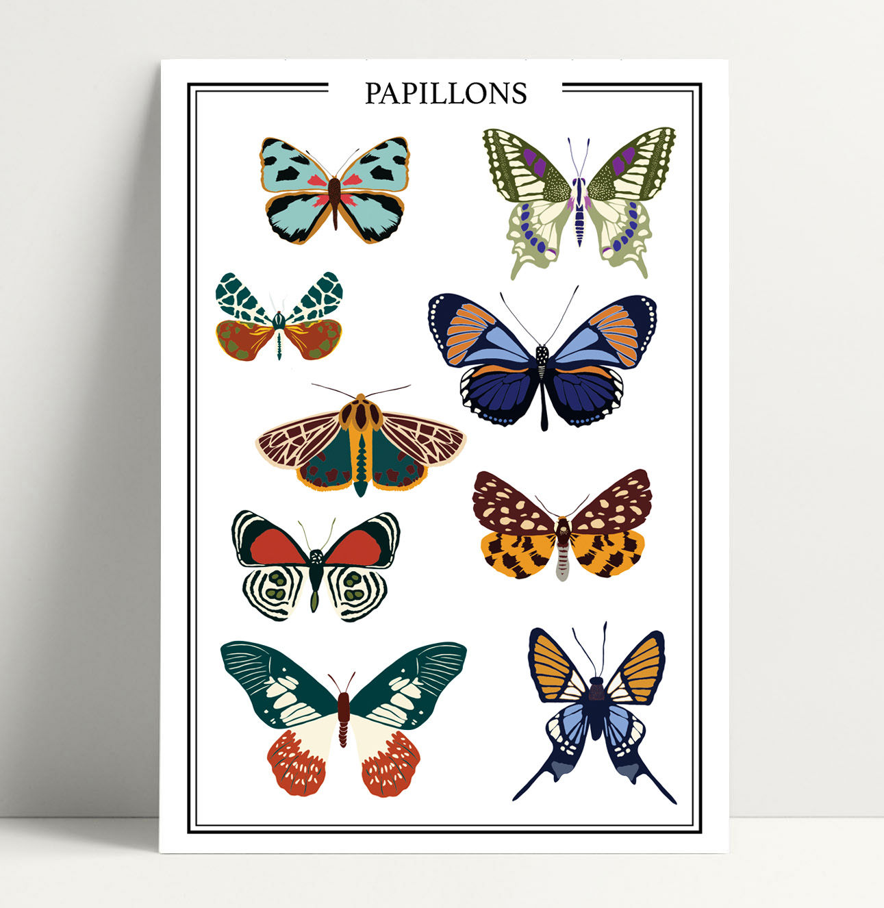 Affiche A4 Collection papillons