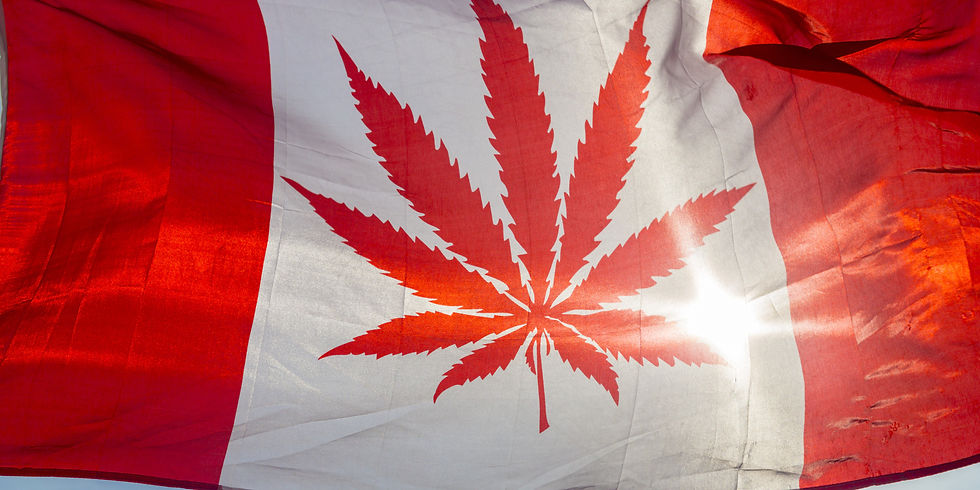 Sign the Petition to Legalize Marijuana