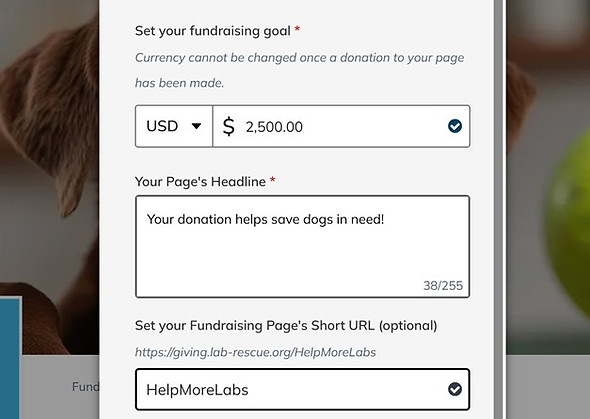 FundraiserJoinTeamStep5.jpg