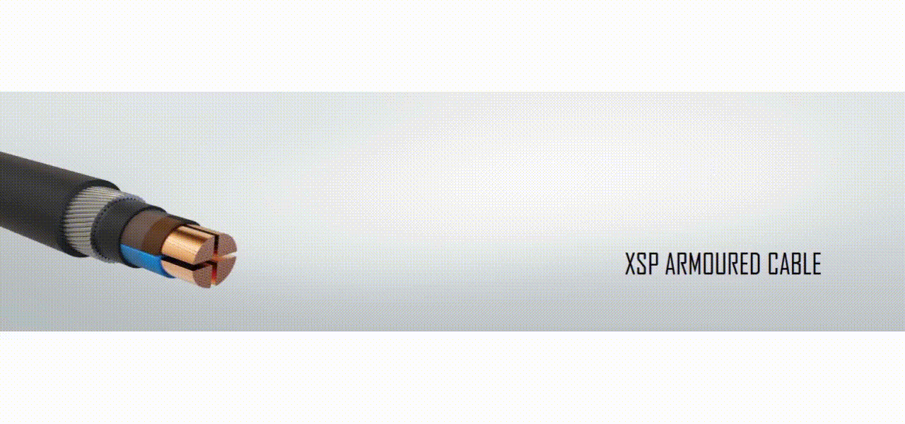 Cable LUMENEX ASIA PTE LTD