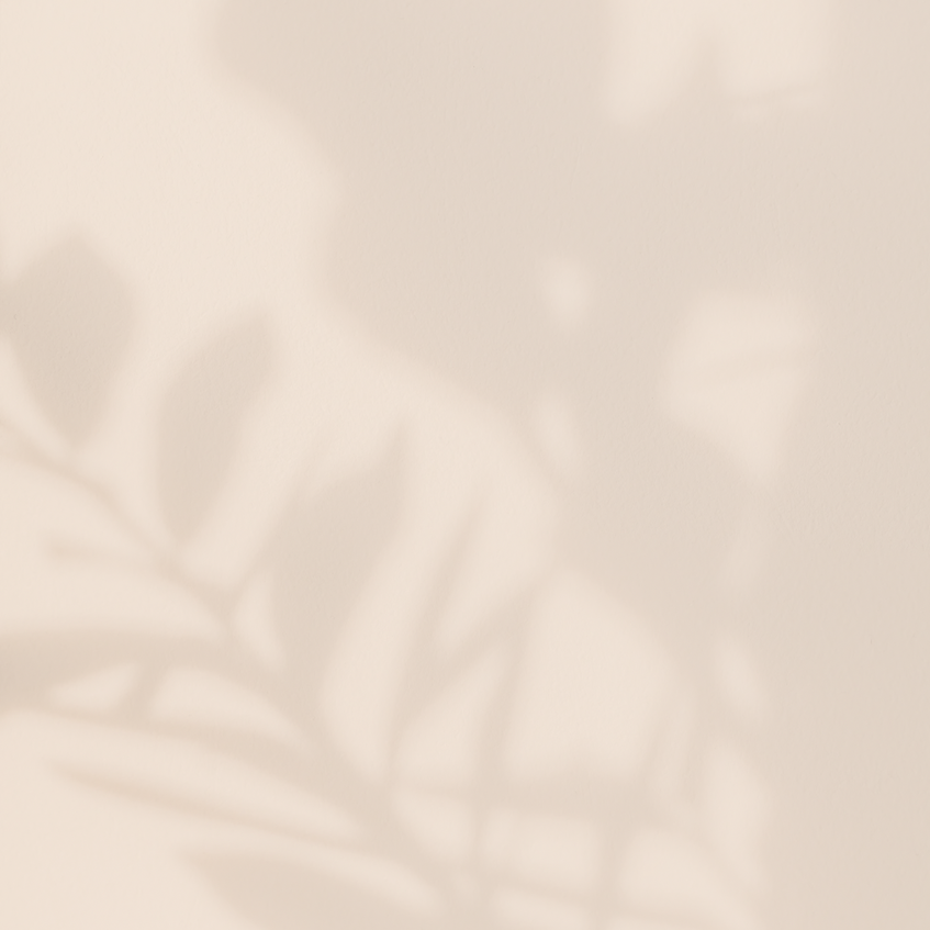 C8DE6019-179C-455D-A897-5878AB1C33B3.png