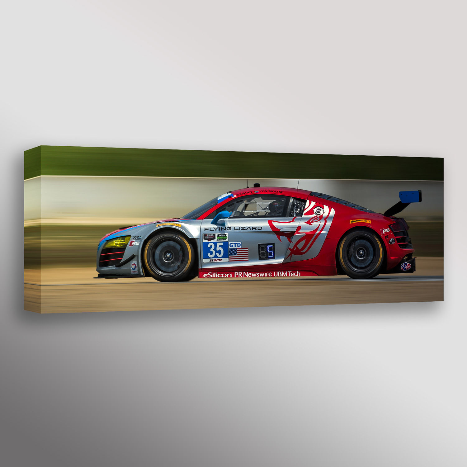 Flying Lizard Audi R8 Racecar Canvas Print Wall Art