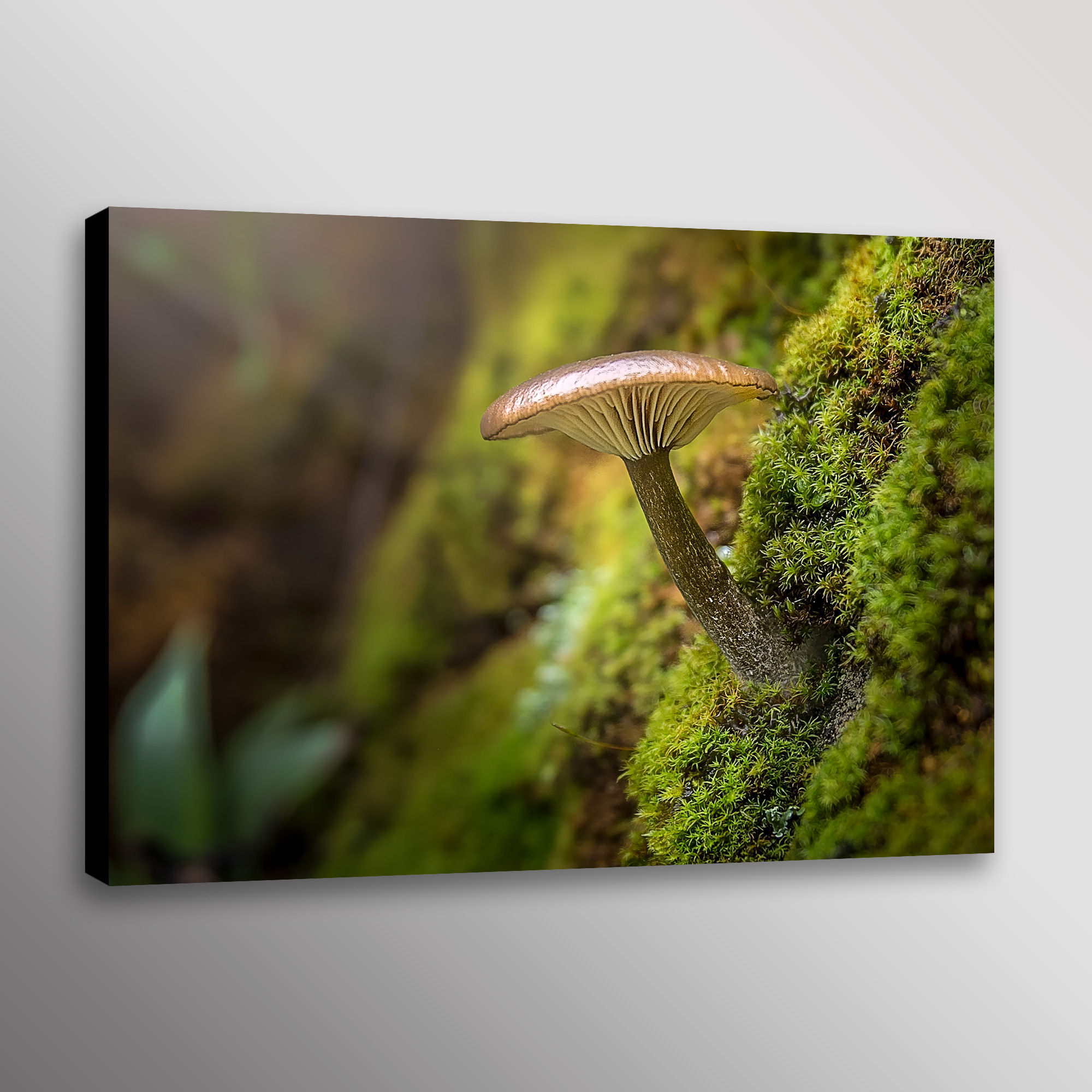 Wild Mushroom in Nature Canvas Print Wall Art