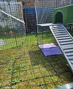 Image of one of our secure outdoor areas suitable for all small pets