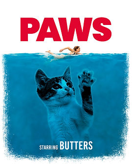 Paws Movie Hero.jpg