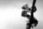 To The King 4 BW.jpg