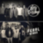 Eddy and the Dirty Boys, Feral Minks