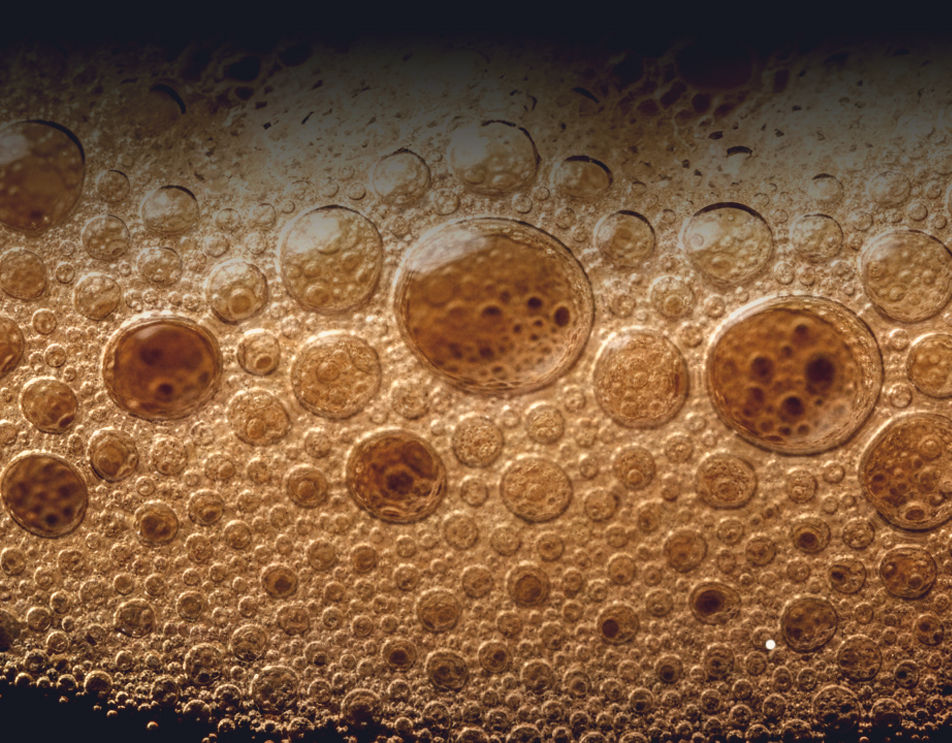 Farm League Brewing's beautiful taproom—a space for tastings, hangouts, and top-notch concerts.