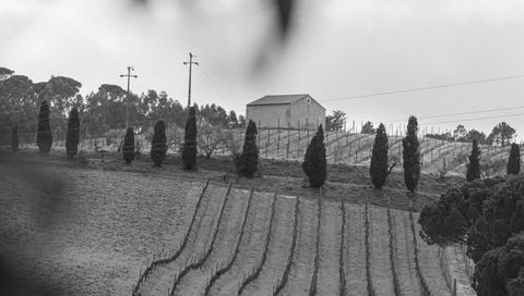 Wine blending experience Portugal event by VAN GILS CREATIONS