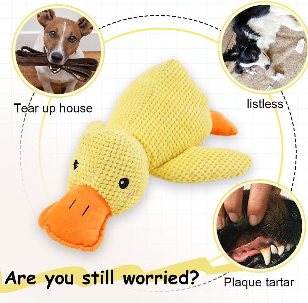 Thumbnail: Durable squeaky plush duck for dogs