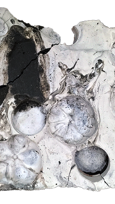 concreteandplaster.png