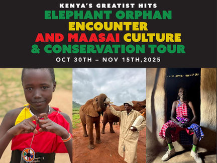 November 2025 | Conservation, Culture and Baby Elephants in Kenya