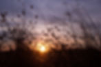 lovely-sunset.jpg
