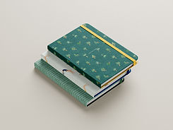 BetweenTides-Notebooks.jpg