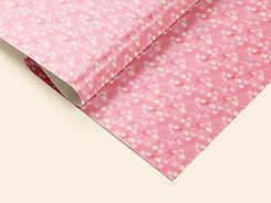 NoosaShells-Wrapping-72dpi.jpg