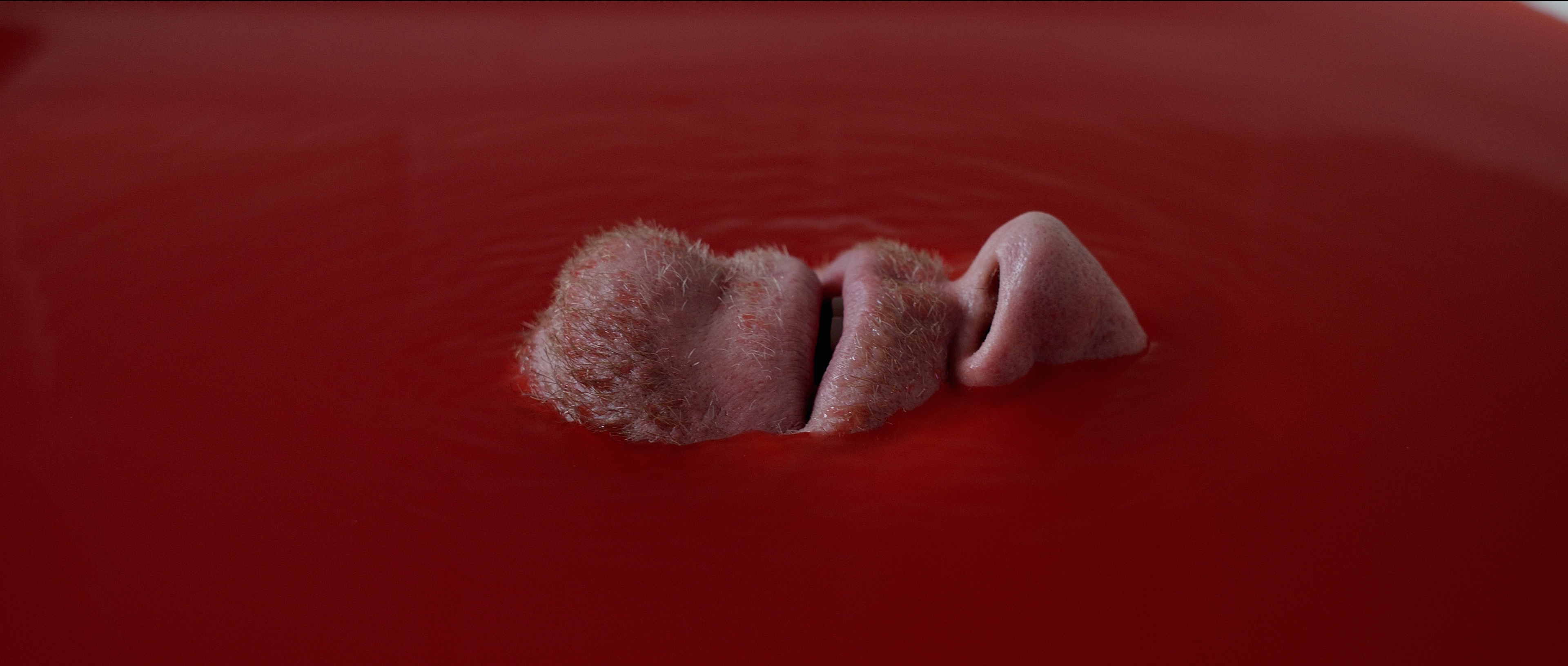 Bare (2016)