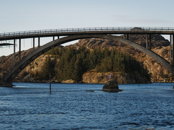 P1010095-9.jpg