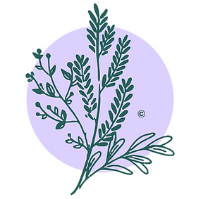 Screenshot 2024-09-09 at 10.52.25 PM.png