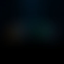 Why Wolves — And What They Reveal About You