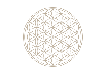 Untitled design (1)_edited.png