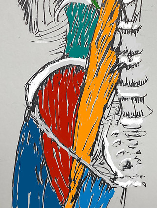 pizz. psoas cover.jpg