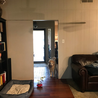 Dallas Texas small home renovation living room before