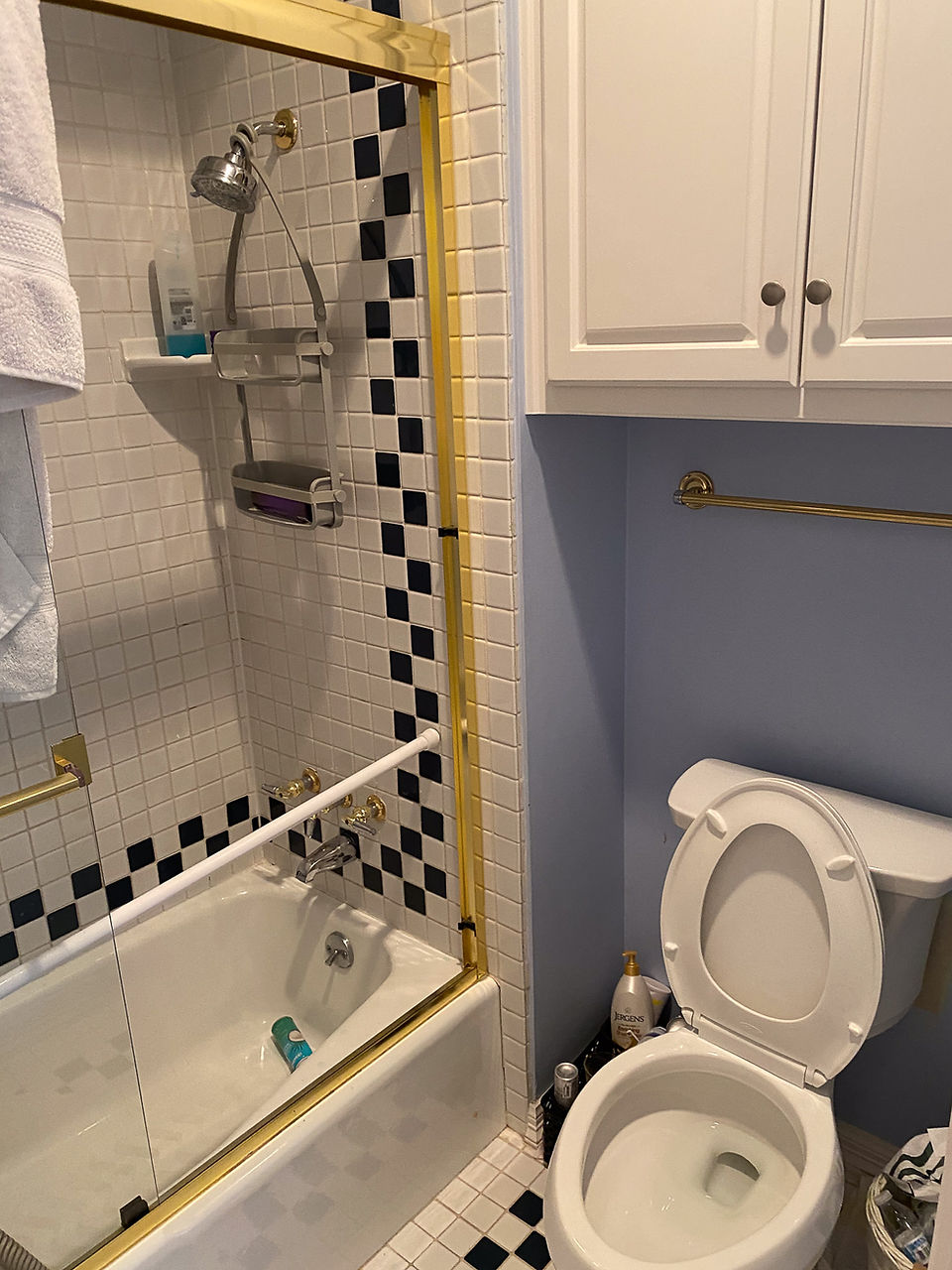 Project Reveal: 4 bathrooms and a graduation before