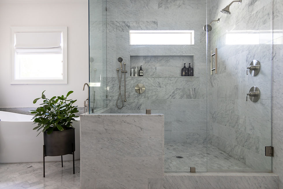 Master Bath Makeover: Turning a Plumbing Mishap into a Luxurious Retreat Dallas Texas double shower head shower