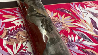 Student trip to Lyon, France