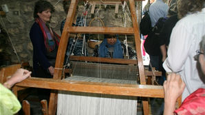 Jordan | DAY 8 - First day of excursion 