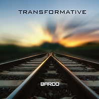 TRANSFORMATIVE (6).png