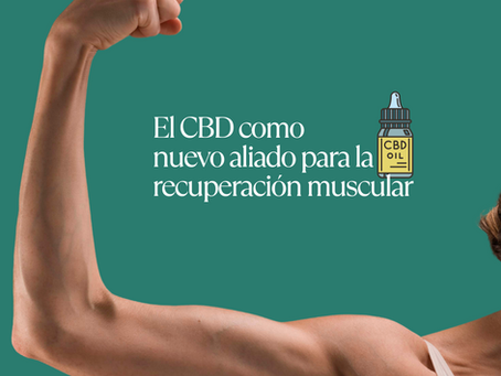 El CBD como nuevo aliado para la recuperación muscular