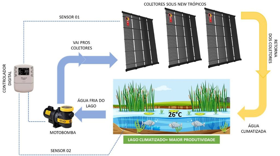 Fluxograma ilustrativo da instalação