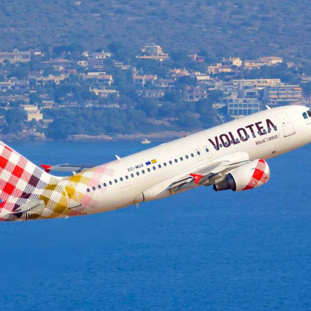 Guida Completa Aviation Eagle: Come Volare con Animali in Cabina Senza Stress e Senza Sorprese