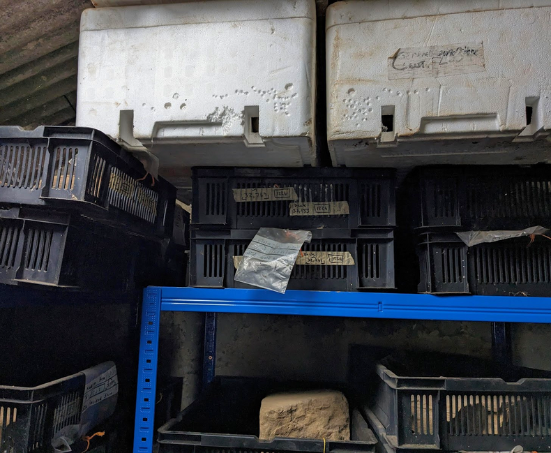 Polystyrene box - 2023