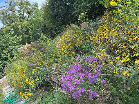 Pollinator Pathway.jpg