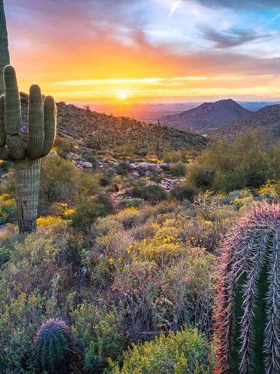 Exploring the Desert: Unforgettable Ways to Experience Epic Dwellings