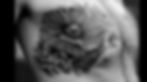 poppy-tattoo_edited.jpg